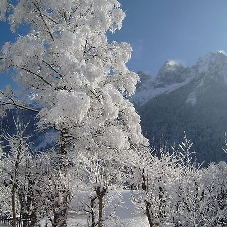 Chalet Altitude 1057 Chamonix Luaran gambar