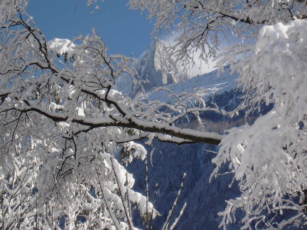 Chalet Altitude 1057 Chamonix Luaran gambar