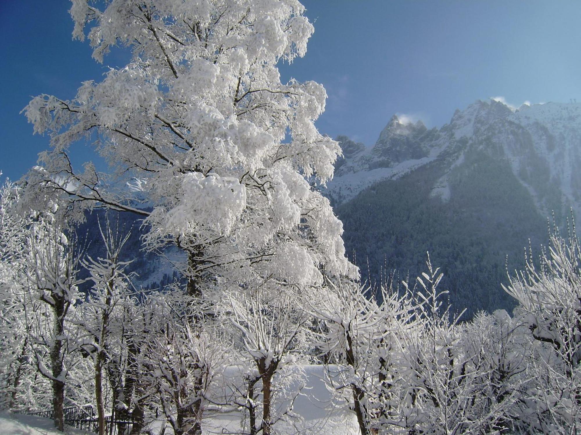 Chalet Altitude 1057 Chamonix Luaran gambar